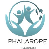 Phalarope org.